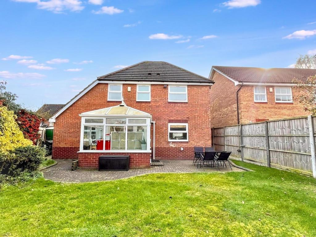 Whats App Image 2026-02-17 at 11.44.02.jpg