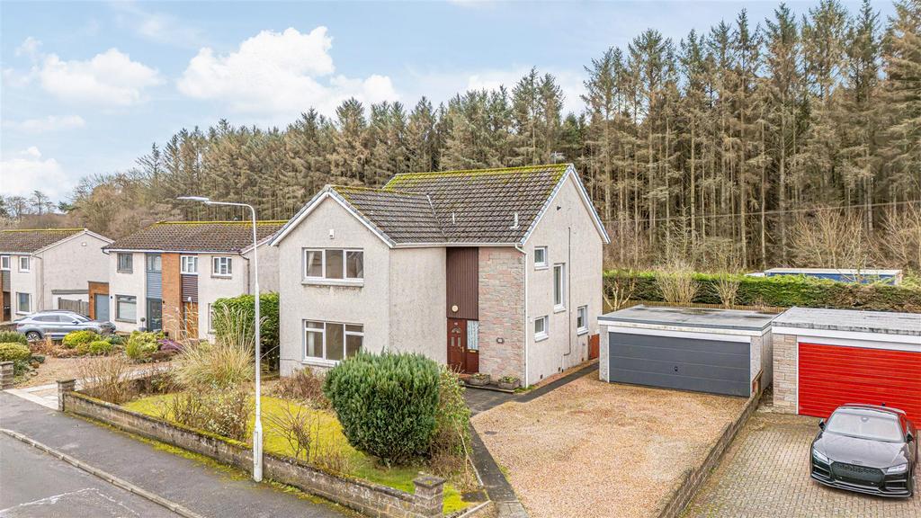 Untitled (1 of 1).JPG