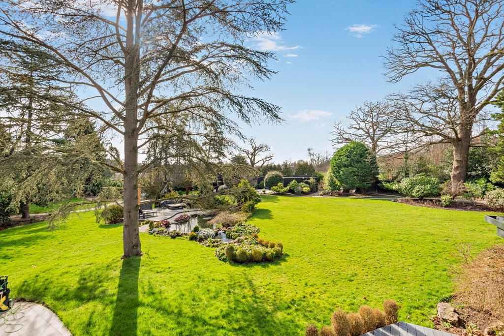 Gardens &amp; Koi Pond