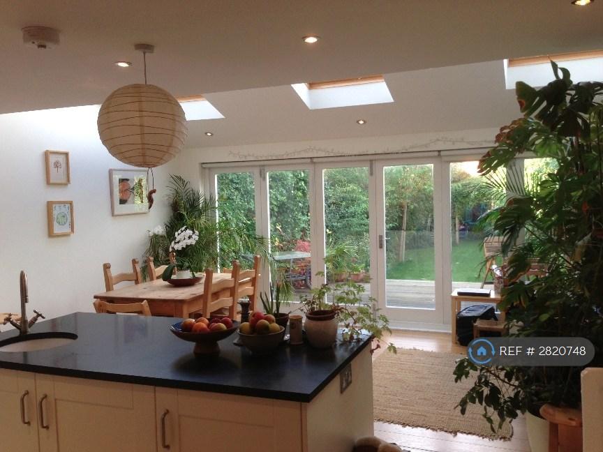 Kitchen &amp; Garden