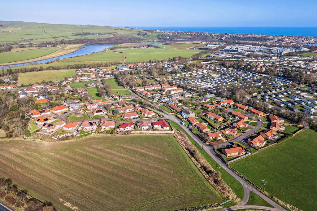 Aerial Image