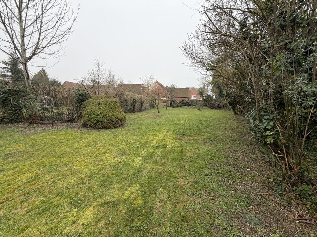 Garden 1