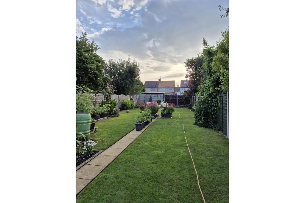 Garden in Summer