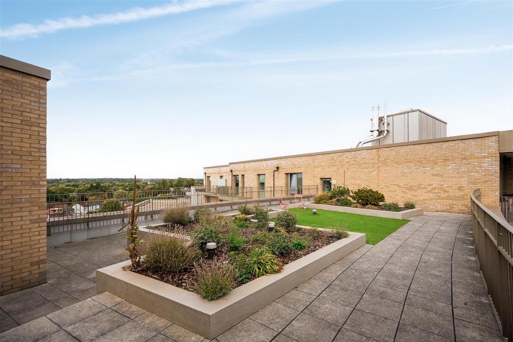 Rooftop Garden