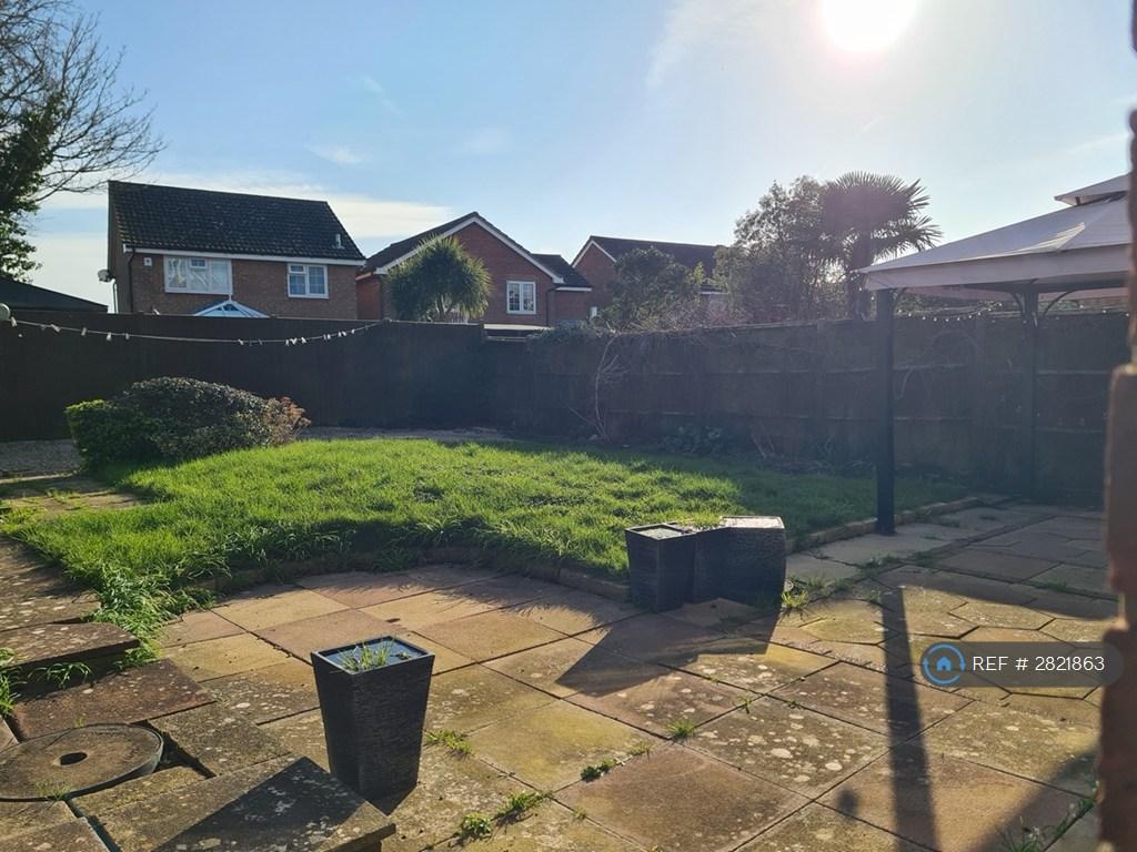 Back Garden