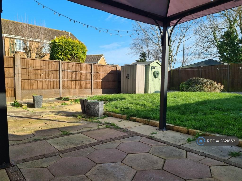Back Garden