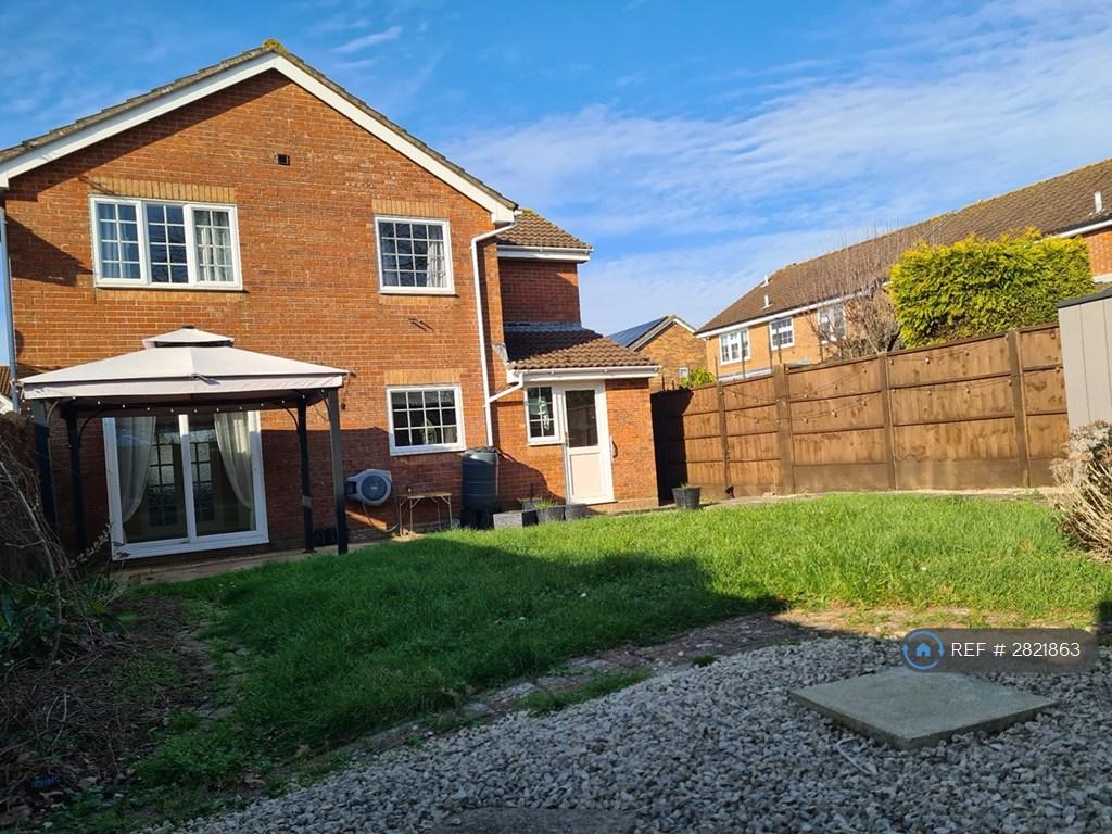 Back Garden