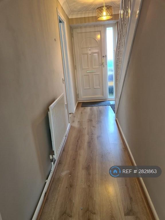 Downstairs Hallway