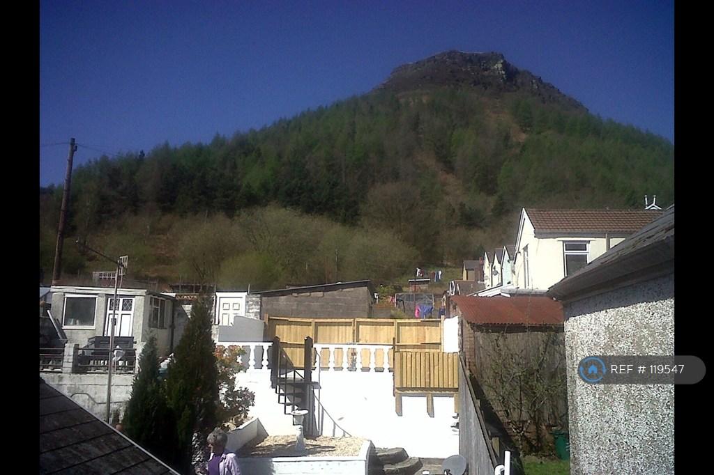 View To House Rear