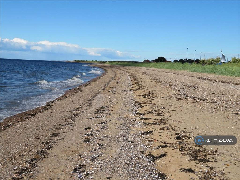 Musselburgh Beach