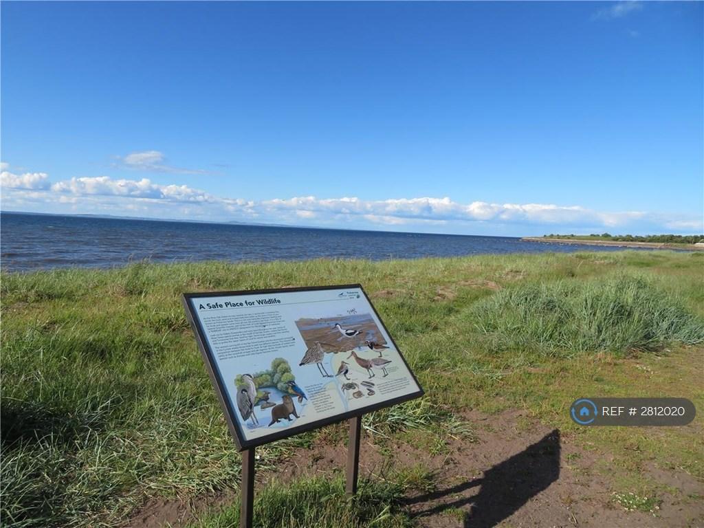 Surrounding Area