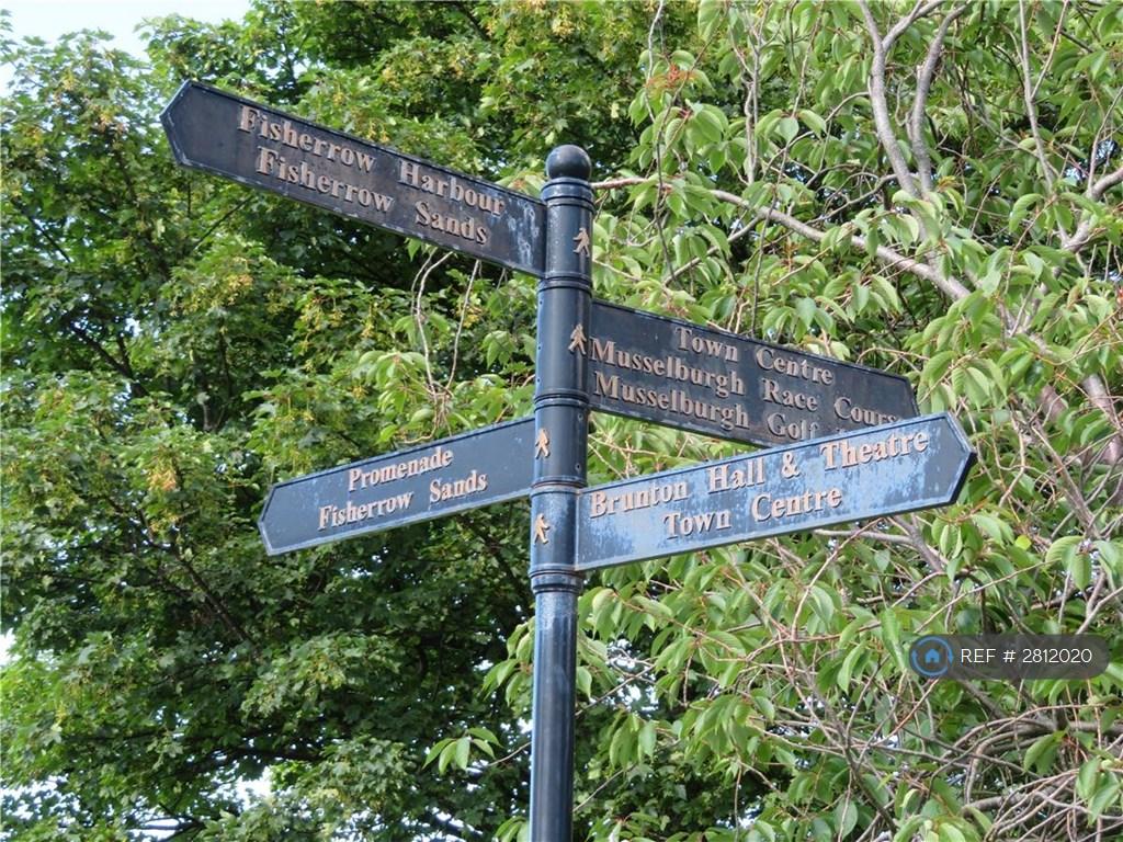Surrounding Area