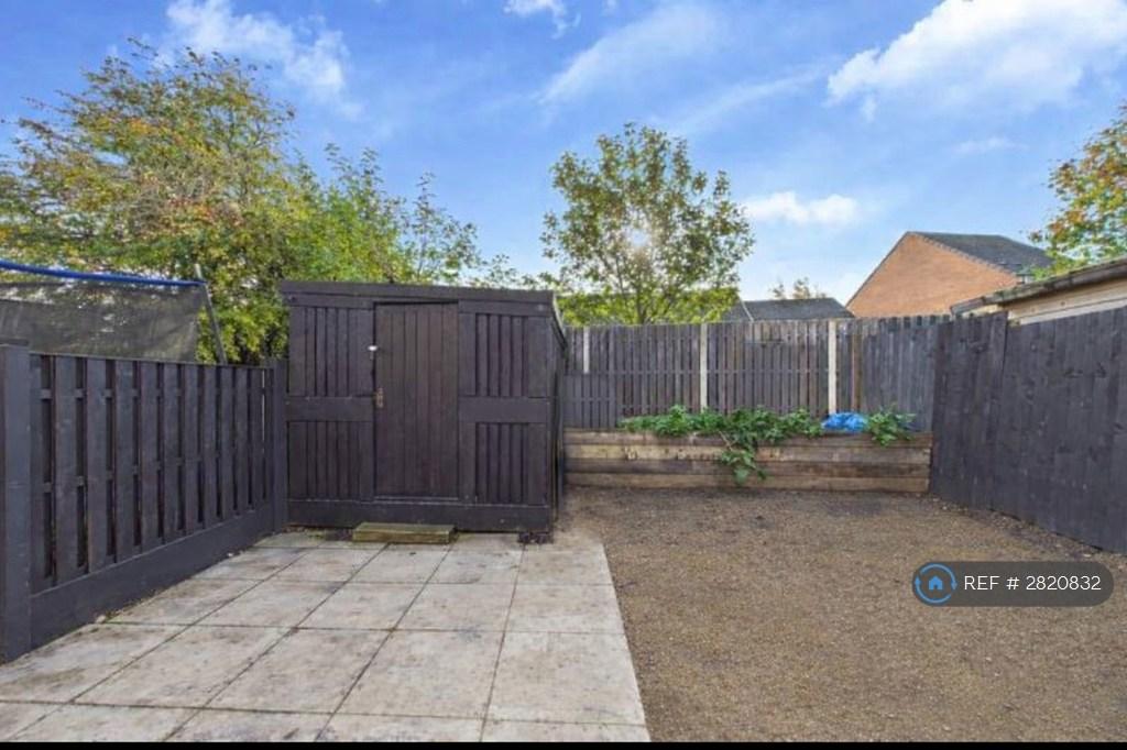 Back Garden