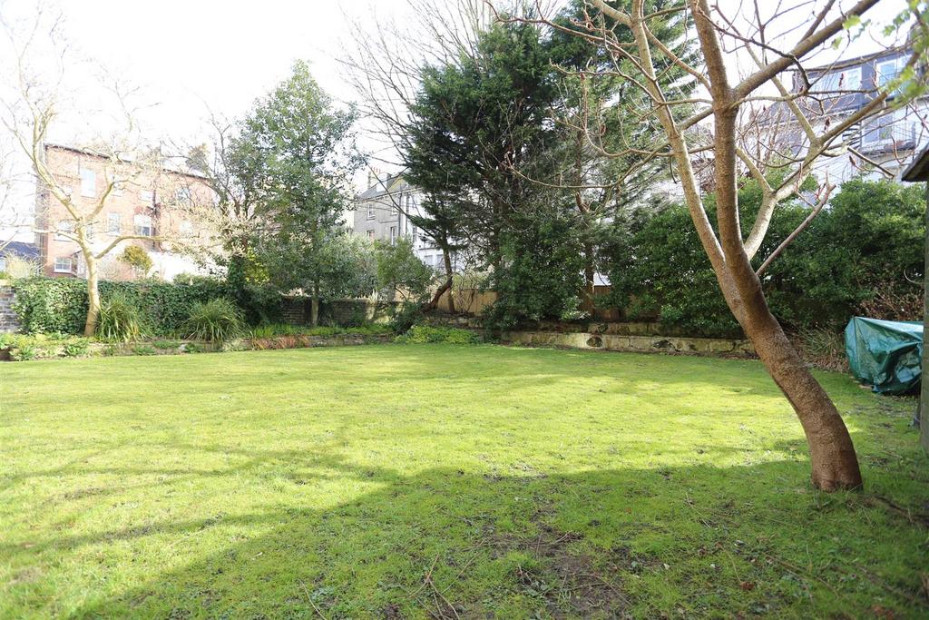 8, 44 Norton Rd garden.jpg