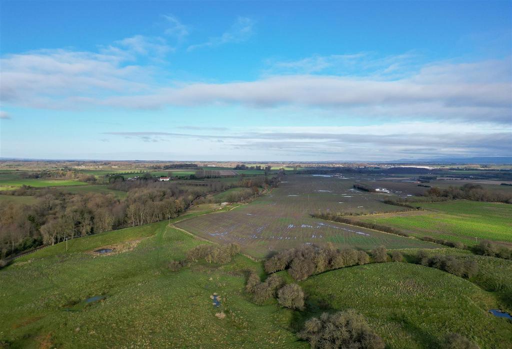 DJI 0666.jpg