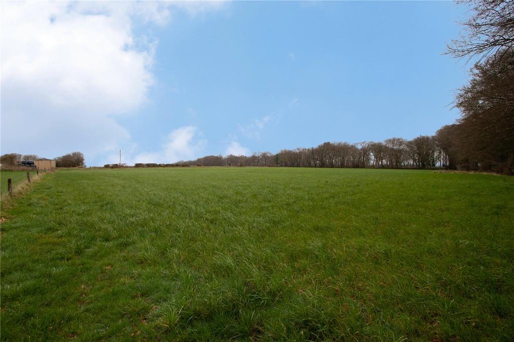Pasture