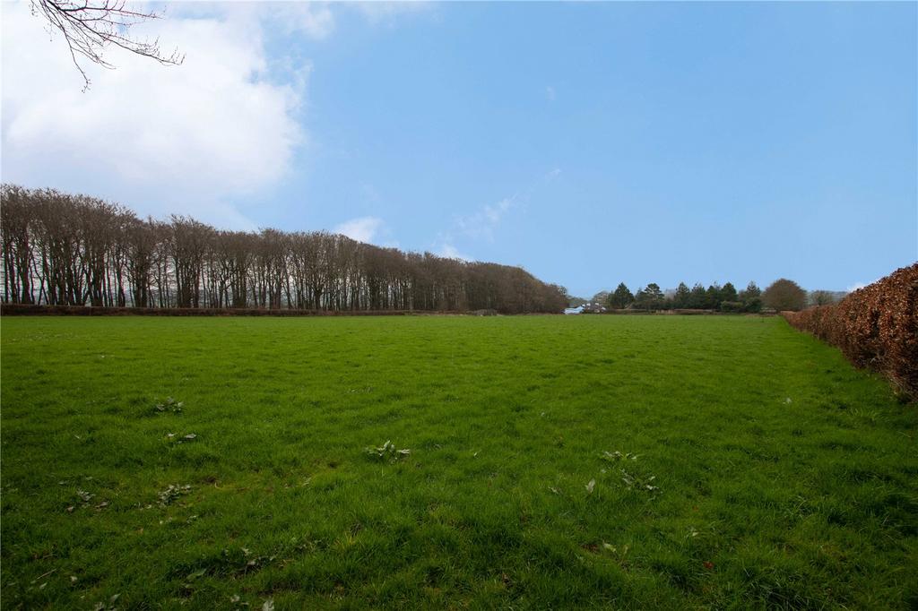 Pasture
