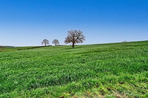 undefined, Stalbridge Park, Stalbridge, Sturminster Newton