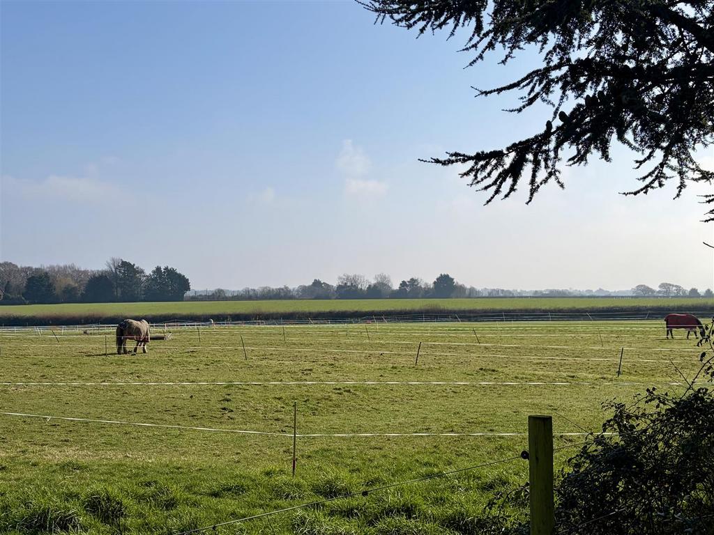 View from the summer house