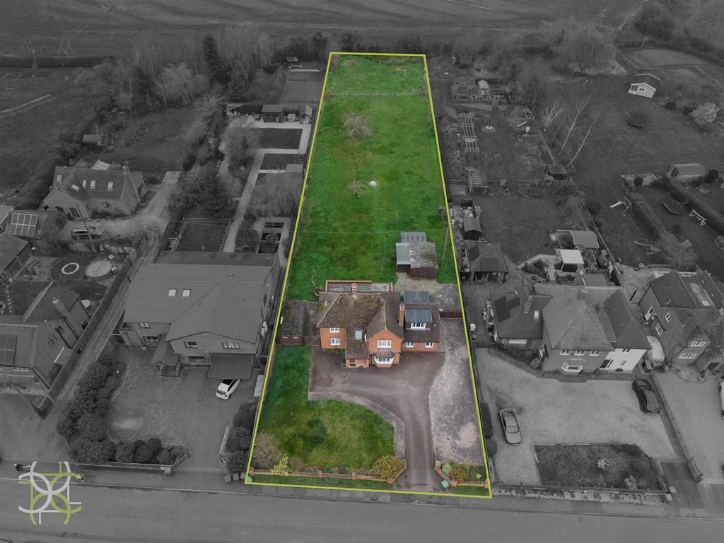 DJI 20260309123636 0014 D-2.jpg
