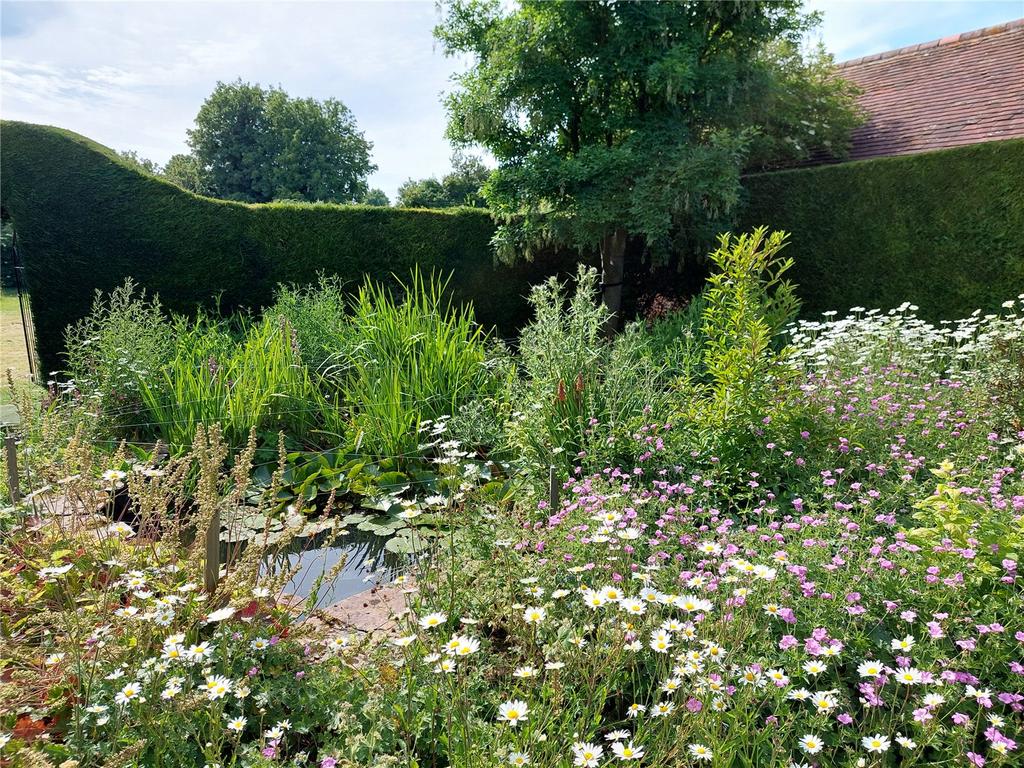 Pond