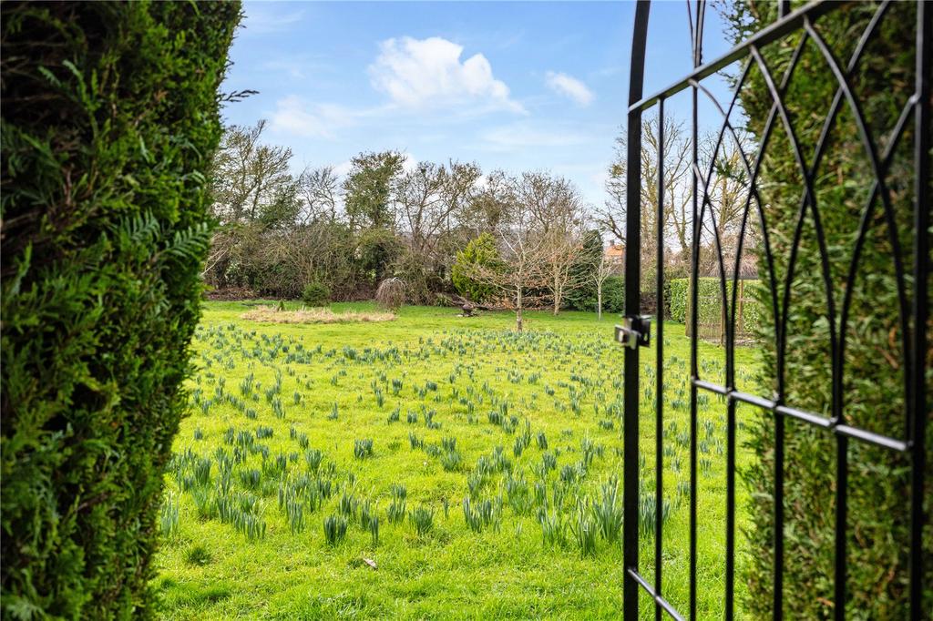 Rear Garden View