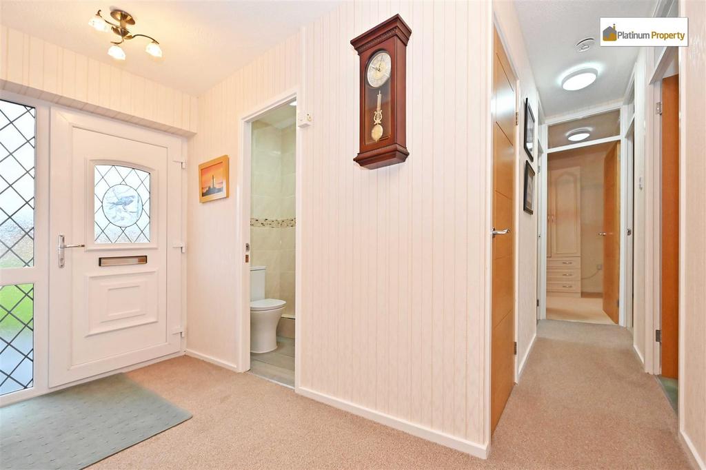 Rhm 6054.jpg