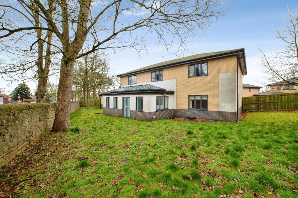 Garden / Rear