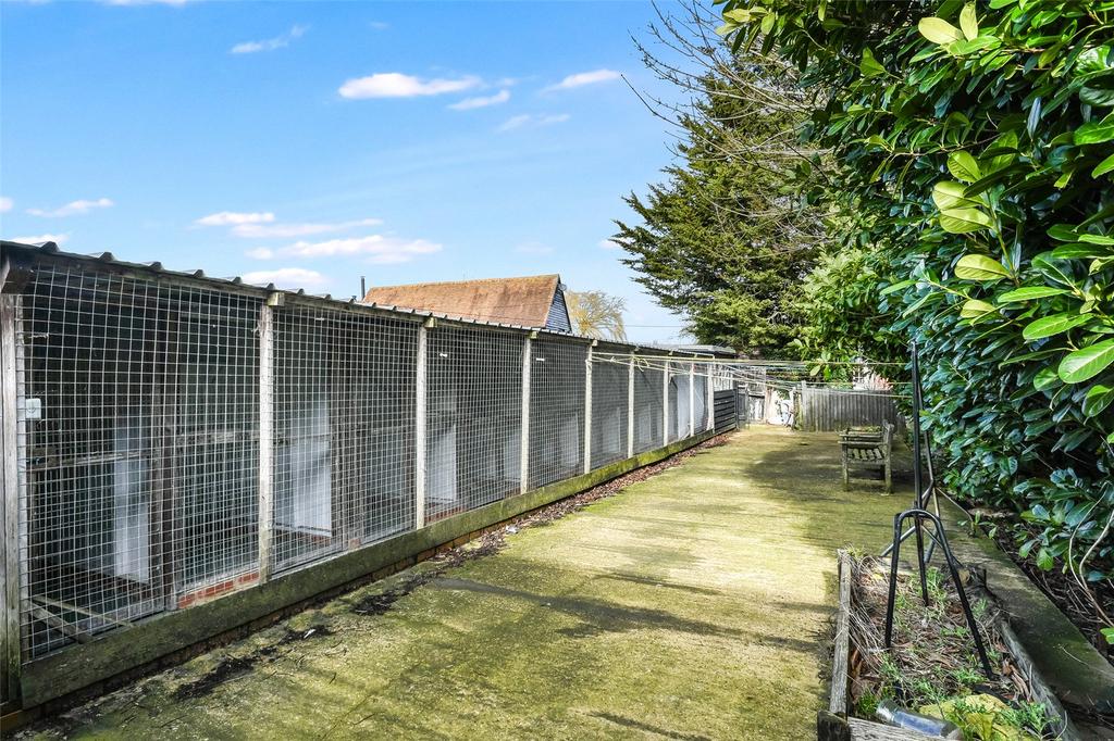 Cattery