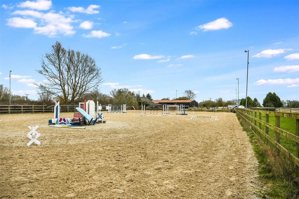 Arena