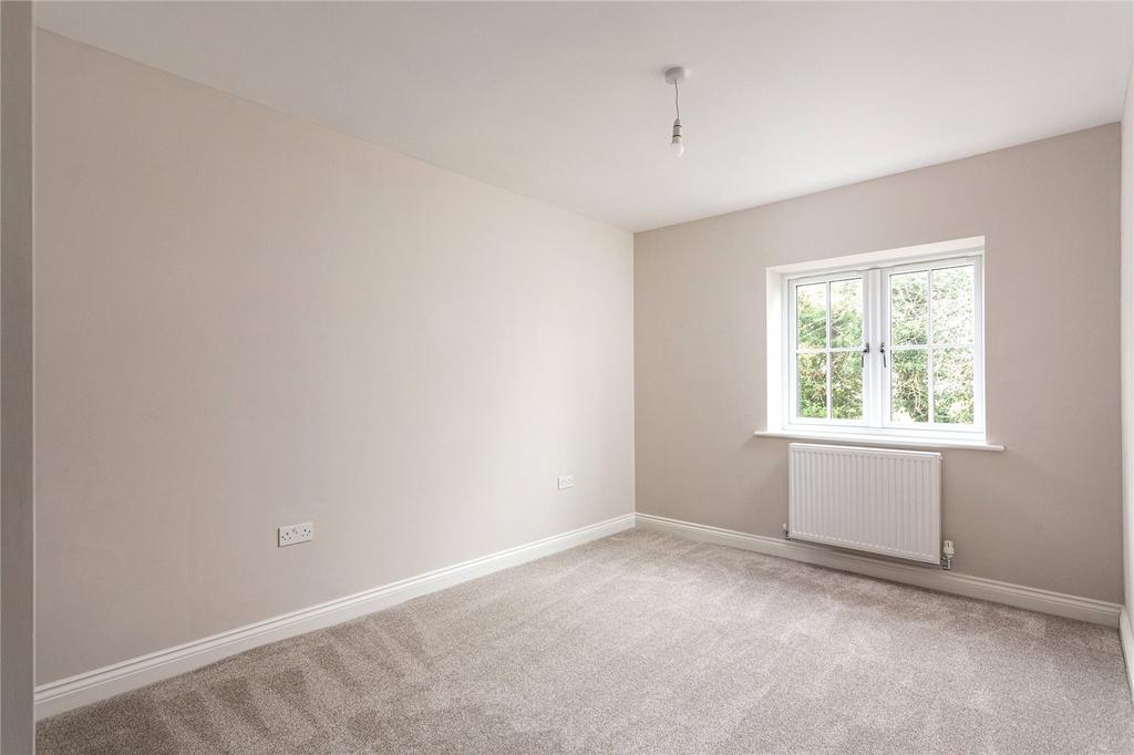 Photos