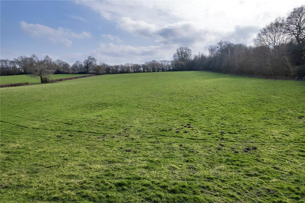 Field