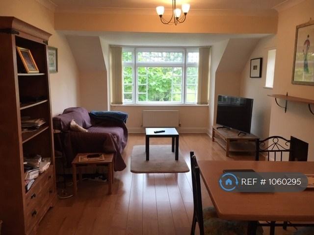Lounge / Dining Room