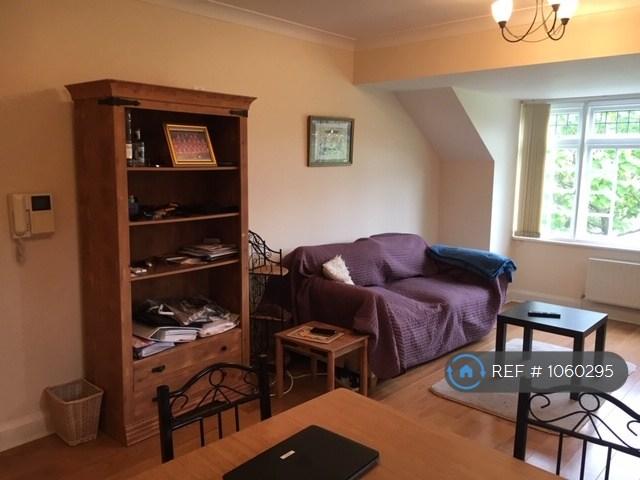 Lounge / Dining Room