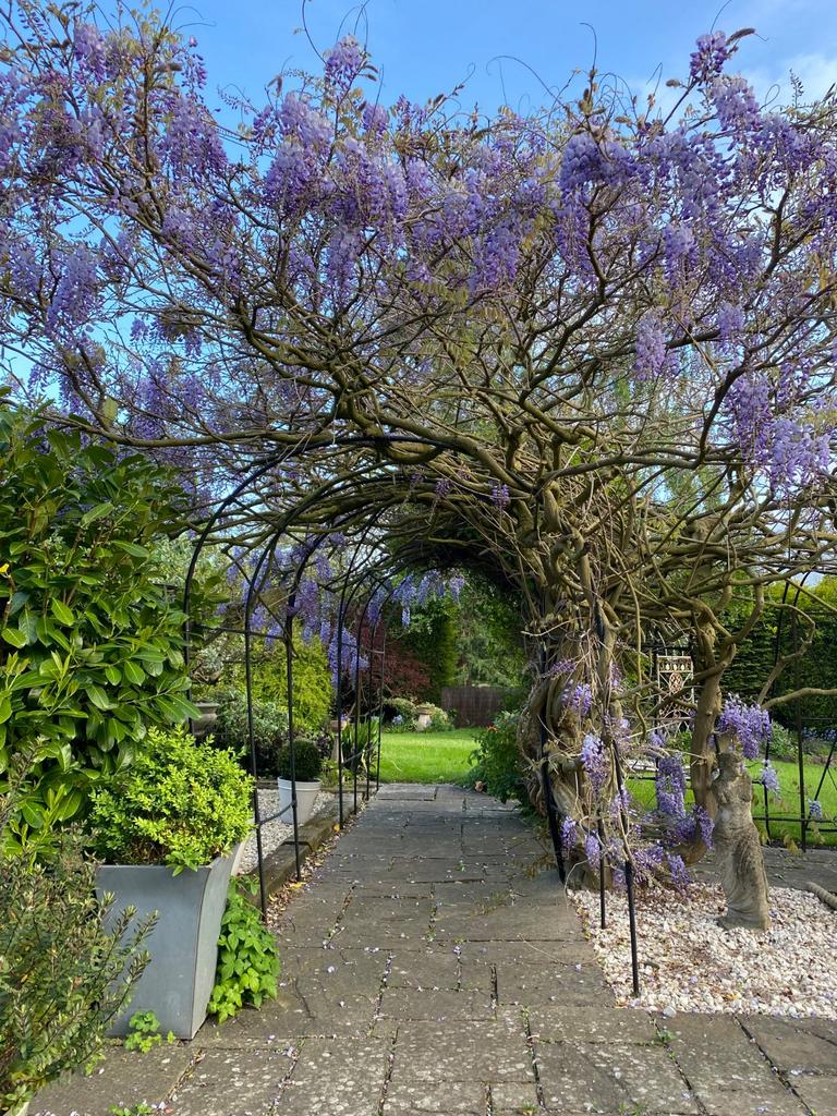 Summer Garden