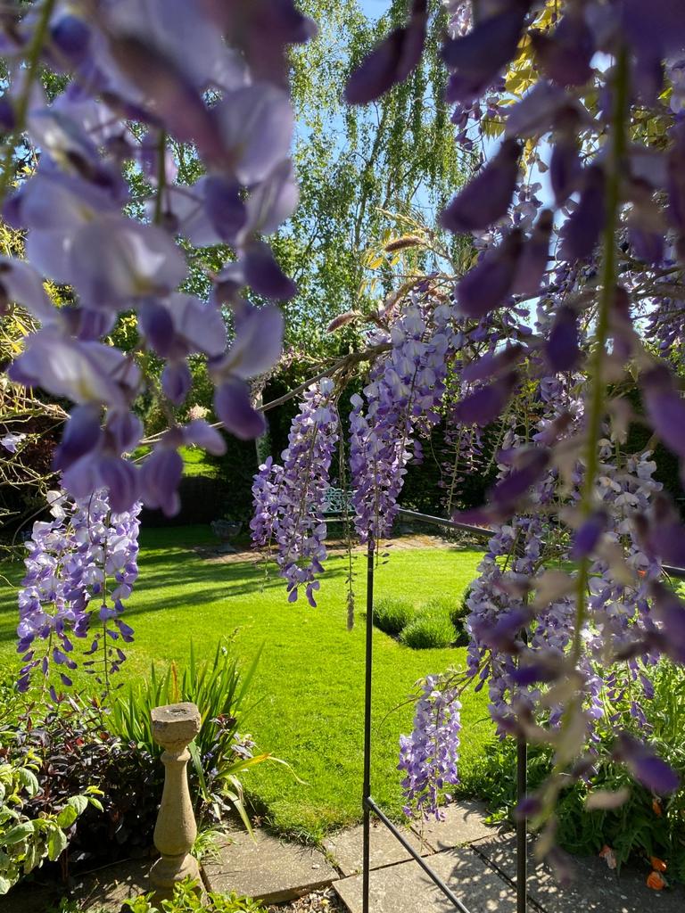 Summer Garden