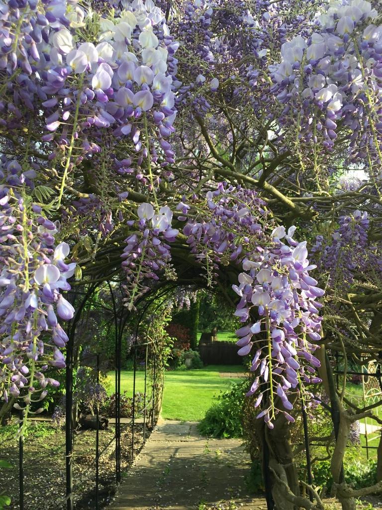 Summer Garden