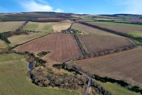 Farm for sale