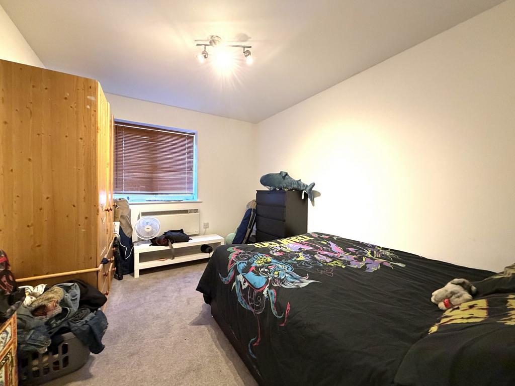 Picture 7