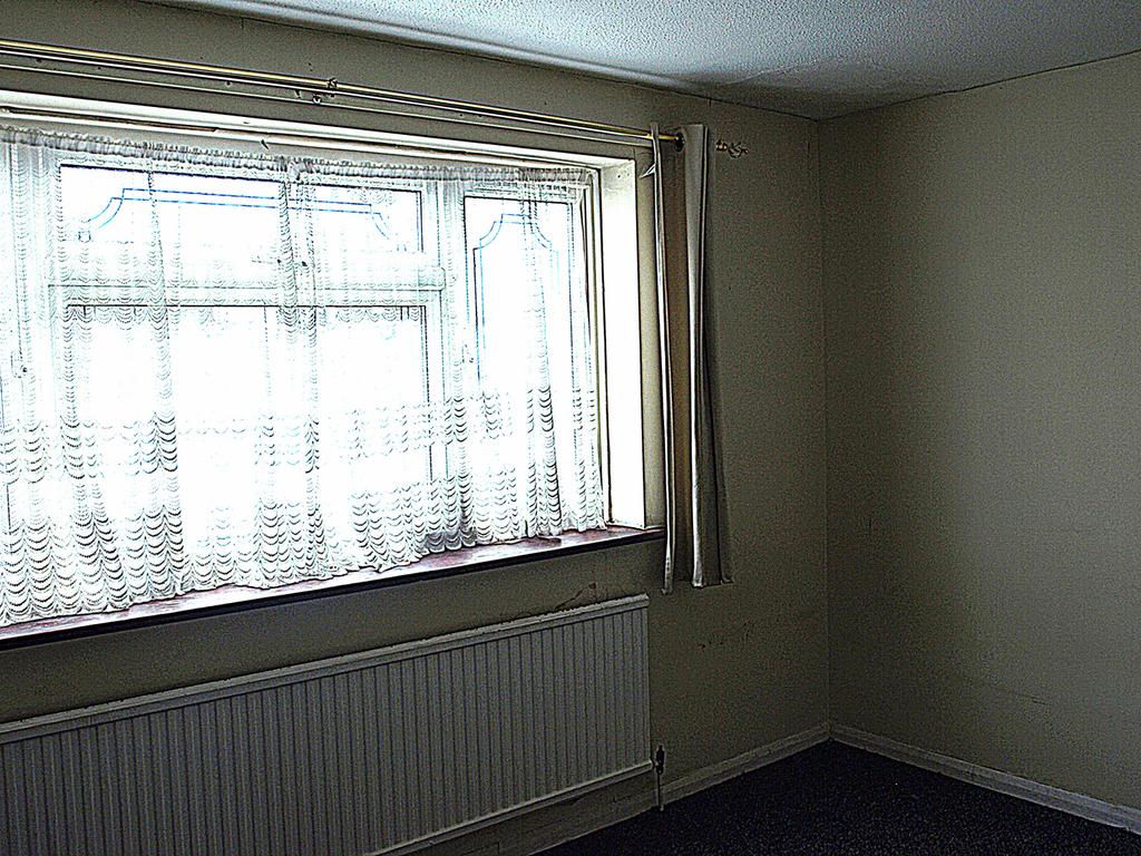 Pic 7