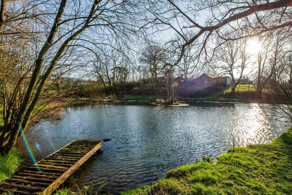 Pond