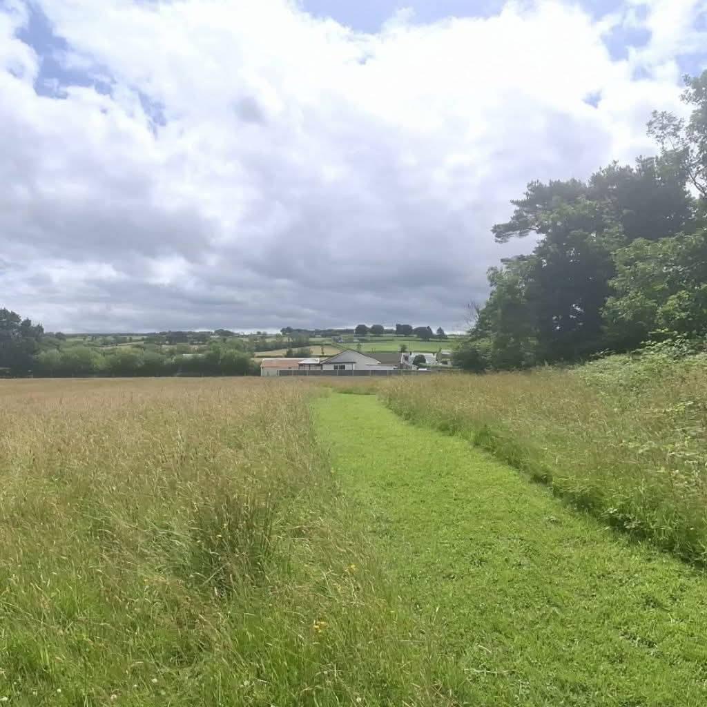 The land