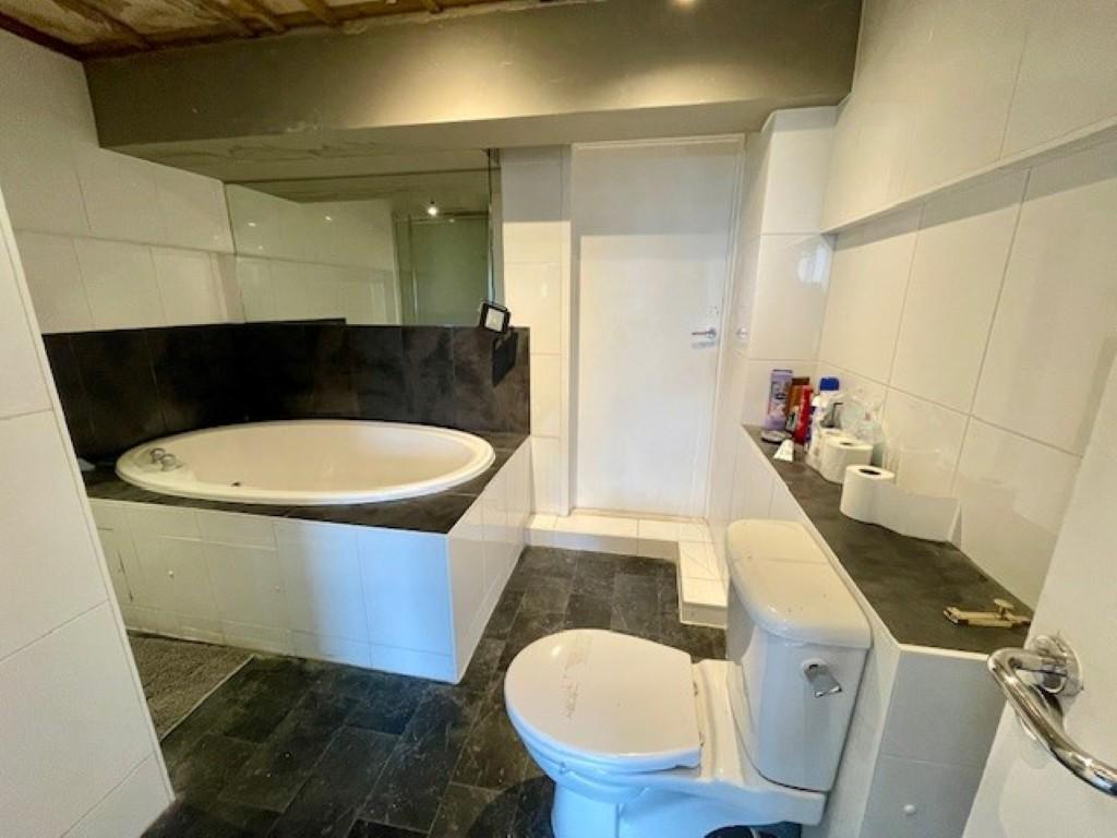 6  Medium  T202603051423.jpg