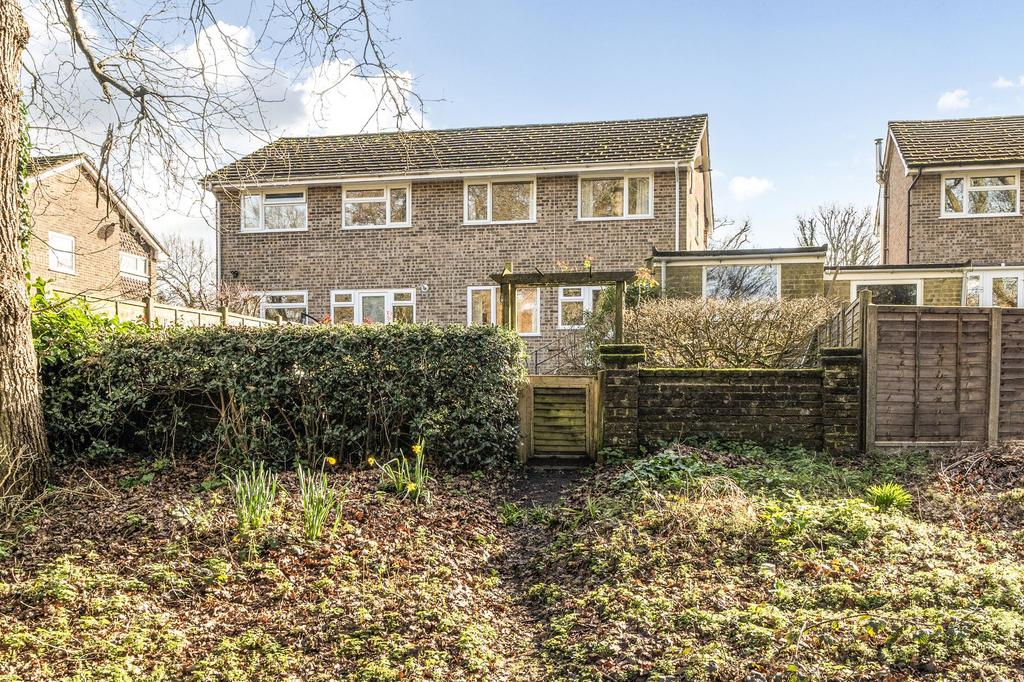 Rear Elevation