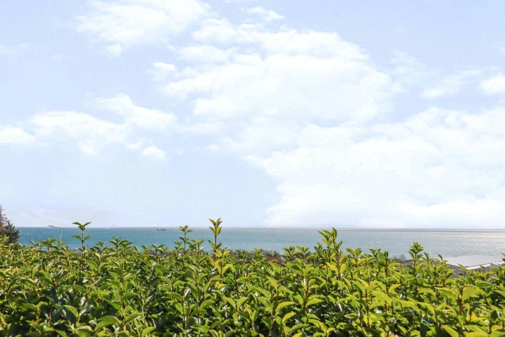 Garden Sea View