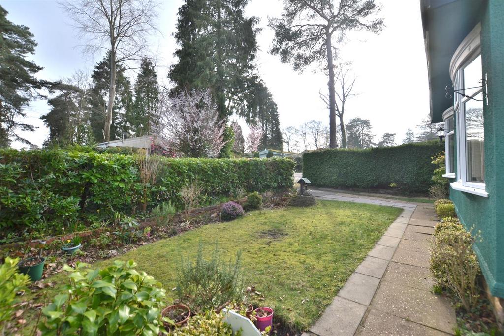 Garden .JPG