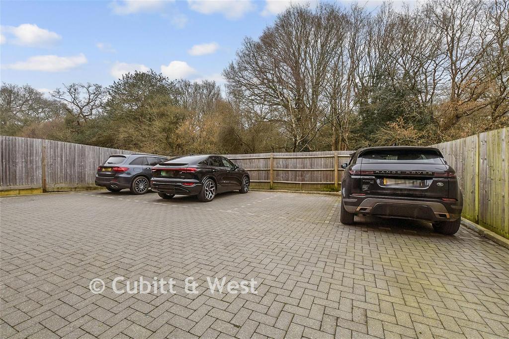 Driveway/Parking
