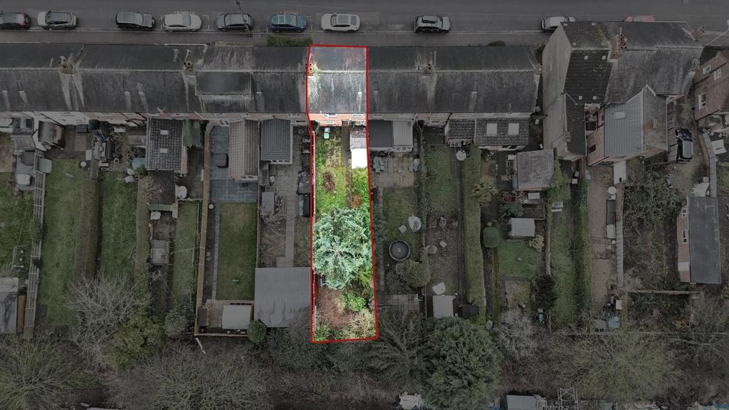 DJI 20250128190217 0041 D.jpg