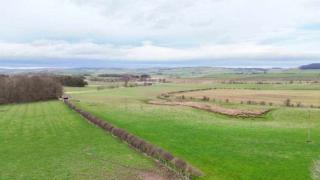 DJI 20260225130509 0197 D.jpg