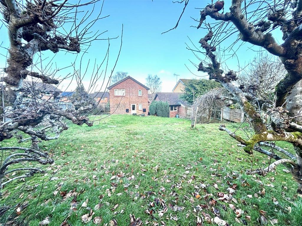 Rear Of House